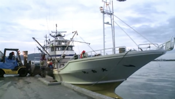 第9章 よみがえる海 魚の町から