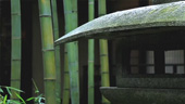 Chikusenso Mt Zao Onsen Resort and Spa 竹泉荘