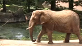 Yagiyama Zoological Park 仙台市八木山動物公園